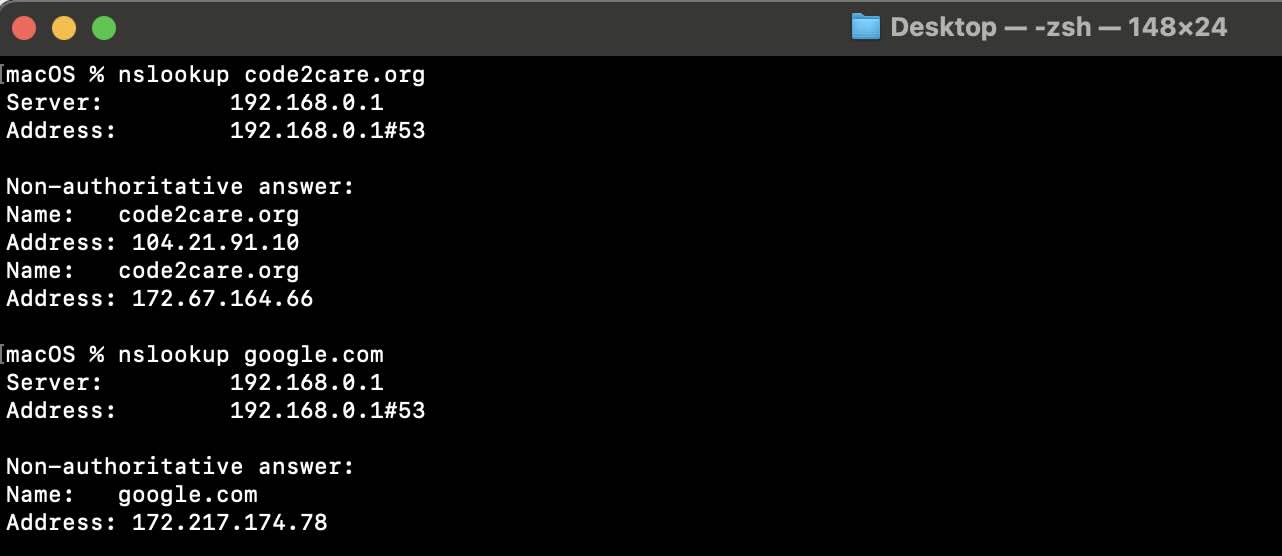 DNS lookup example macOS Terminal